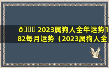 🐘 2023属狗人全年运势1982每月运势（2023属狗人全年运势1982.年全年爱情事业婚姻）